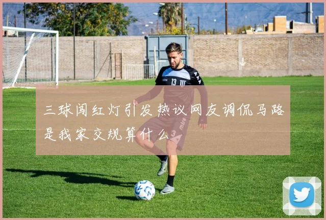 三球闯红灯引发热议网友调侃马路是我家交规算什么